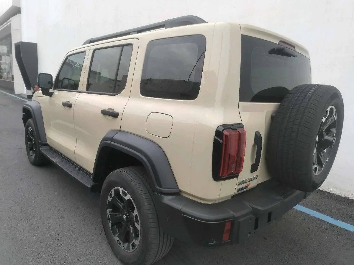 2025 Tank 300 2.0T 252HP L4 9AT PHEV,autocango,china used car exporter,china ev exporter,chinese used car exporter,chinese used ev exporter