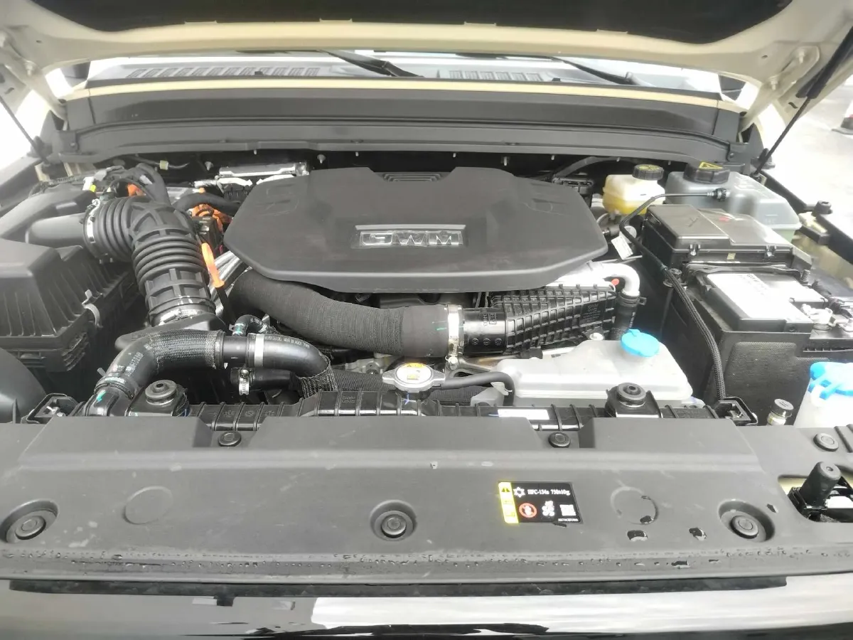 2025 Tank 300 2.0T 252HP L4 9AT PHEV,autocango,china used car exporter,china ev exporter,chinese used car exporter,chinese used ev exporter