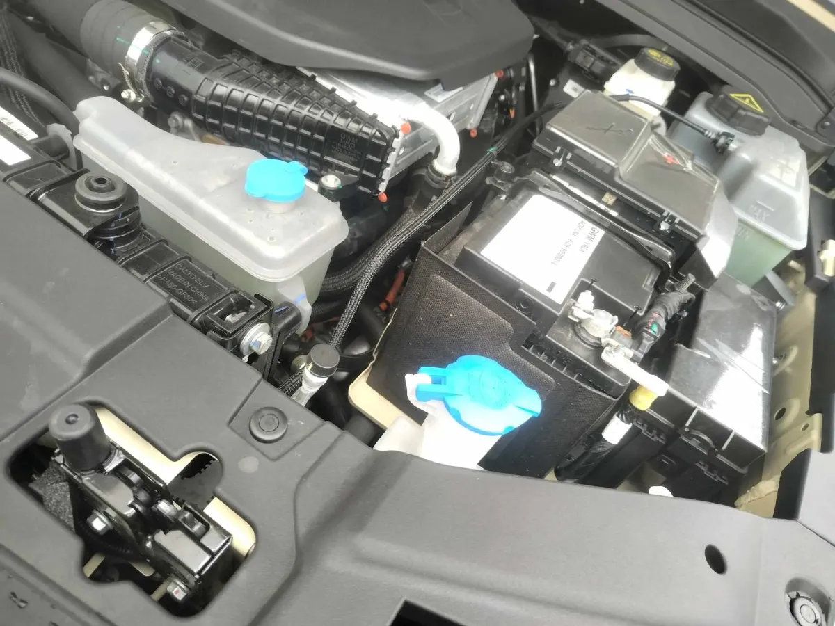 2025 Tank 300 2.0T 252HP L4 9AT PHEV,autocango,china used car exporter,china ev exporter,chinese used car exporter,chinese used ev exporter