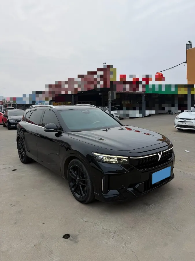 2024 Voyah FREE 1.5T 150HP L4 REEV 39.2KWH,autocango,china used car exporter,china ev exporter,chinese used car exporter,chinese used ev exporter