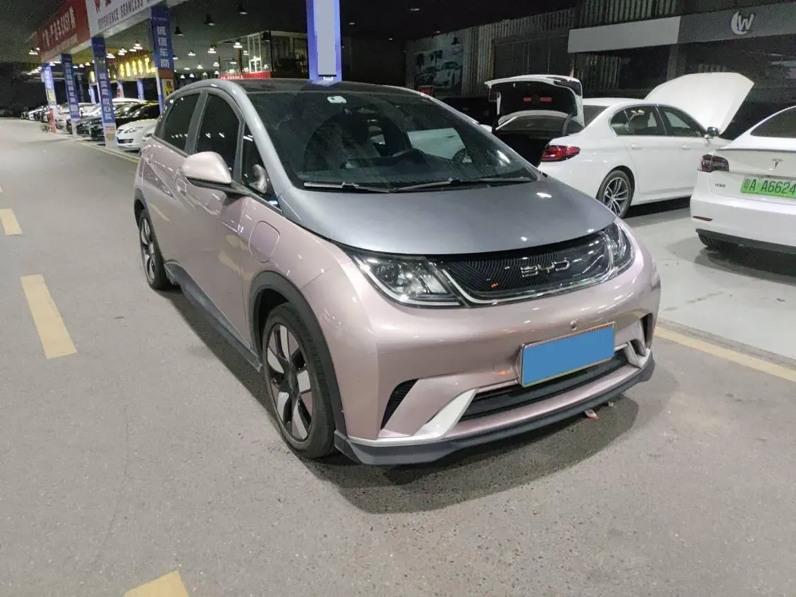 2021 BYD e2 BEV 43.2KWH,autocango,china used car exporter,china ev exporter,chinese used car exporter,chinese used ev exporter