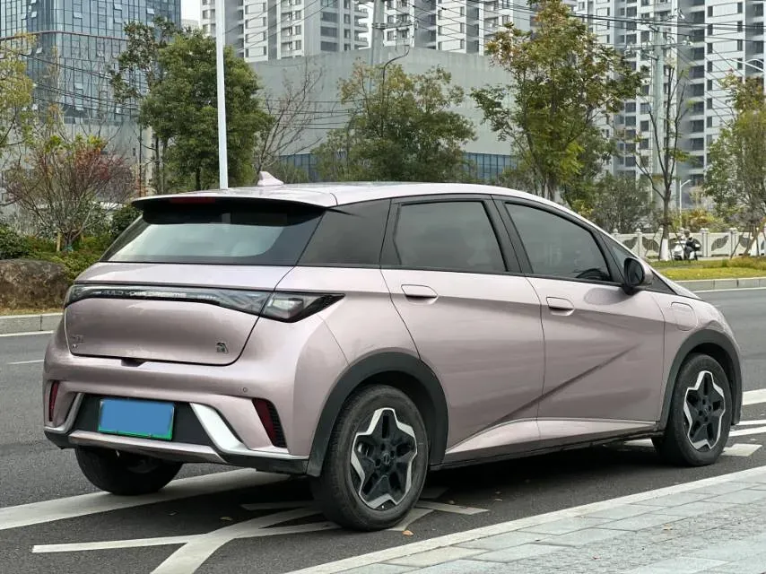 2021 BYD Yuan Pro BEV 50.1KWH,autocango,china used car exporter,china ev exporter,chinese used car exporter,chinese used ev exporter