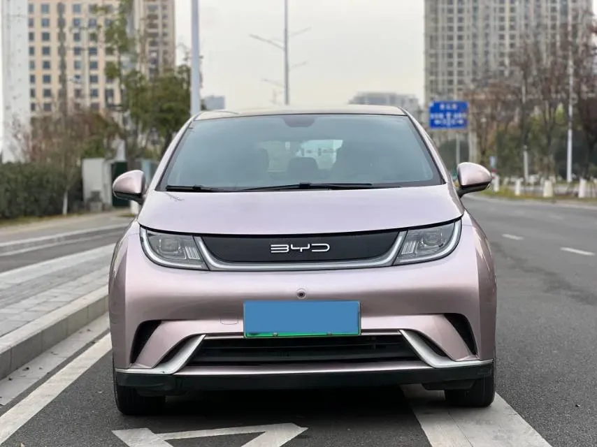 2021 BYD Yuan Pro BEV 50.1KWH,autocango,china used car exporter,china ev exporter,chinese used car exporter,chinese used ev exporter