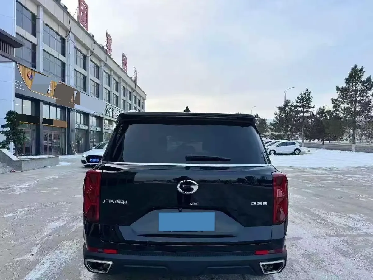 2024 GAC Trumpchi GS8 2.0T 252HP L4 8AT,autocango,china used car exporter,china ev exporter,chinese used car exporter,chinese used ev exporter