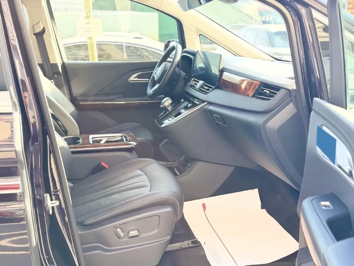 2024 HongQi HQ9 2.0T 163HP L4 1DHT PHEV 20.14KWH,autocango,china used car exporter,china ev exporter,chinese used car exporter,chinese used ev exporter