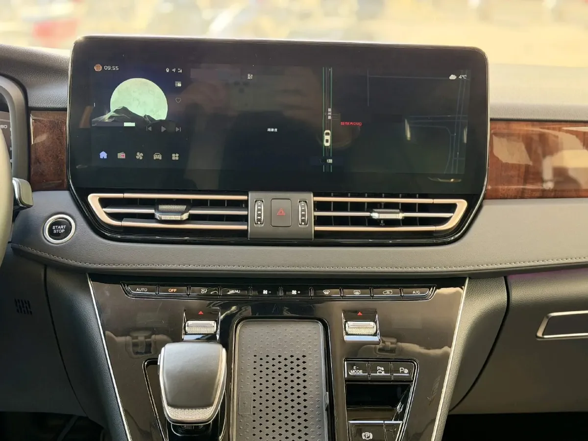 2024 HongQi HQ9 2.0T 163HP L4 1DHT PHEV 20.14KWH,autocango,china used car exporter,china ev exporter,chinese used car exporter,chinese used ev exporter