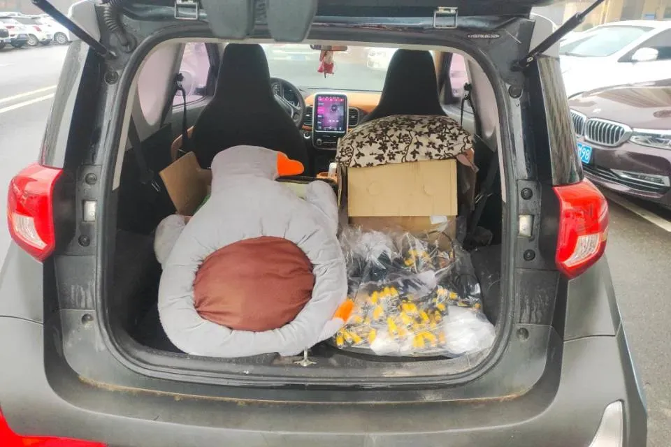 2018 Chery Little Ant BEV 35KWH,autocango,china used car exporter,china ev exporter,chinese used car exporter,chinese used ev exporter