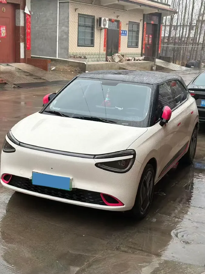 2025 DongFeng Nammi 01 BEV,autocango,china used car exporter,china ev exporter,chinese used car exporter,chinese used ev exporter