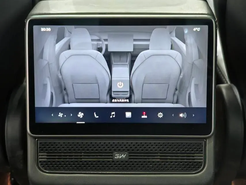 2025 Tesla Model 3 BEV 62.5KWH,autocango,china used car exporter,china ev exporter,chinese used car exporter,chinese used ev exporter