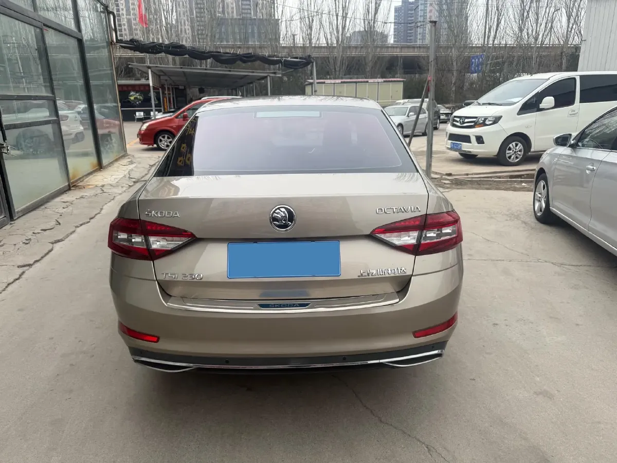2018 Skoda Octavia 1.2T 116HP L4 7DCT,autocango,china used car exporter,china ev exporter,chinese used car exporter,chinese used ev exporter