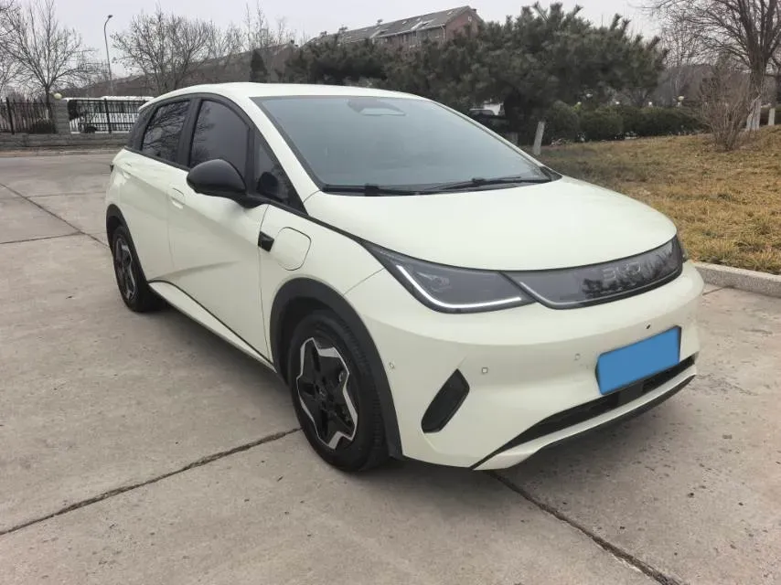 2025 BYD Dolphin BEV 45.12KWH,autocango,china used car exporter,china ev exporter,chinese used car exporter,chinese used ev exporter