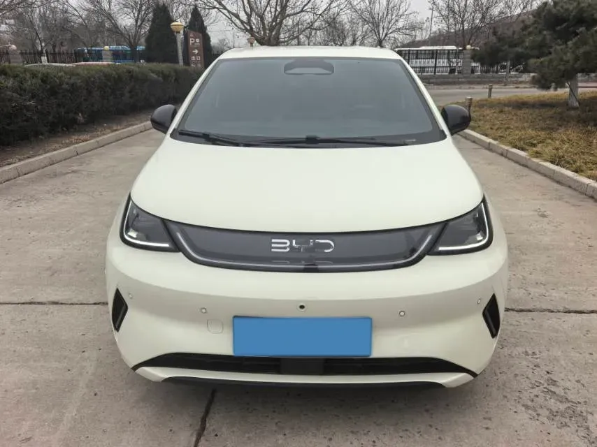 2025 BYD Dolphin BEV 45.12KWH,autocango,china used car exporter,china ev exporter,chinese used car exporter,chinese used ev exporter