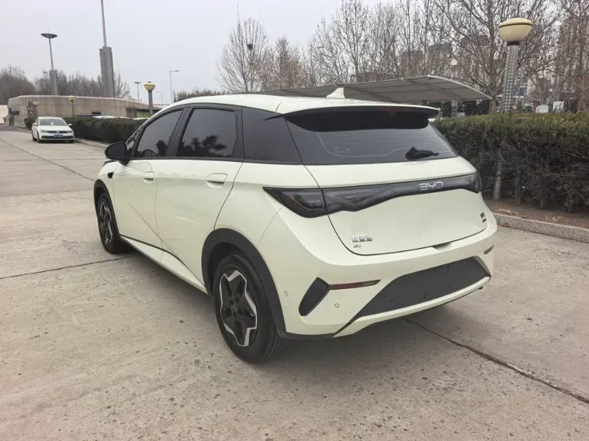 2025 BYD Dolphin BEV 45.12KWH,autocango,china used car exporter,china ev exporter,chinese used car exporter,chinese used ev exporter