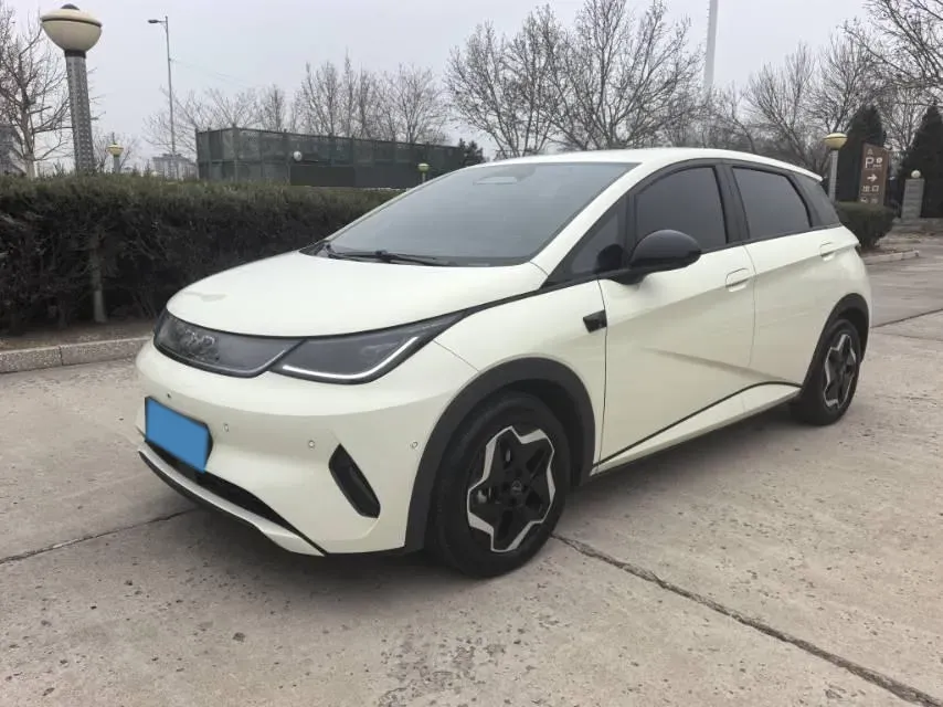 2025 BYD Dolphin BEV 45.12KWH,autocango,china used car exporter,china ev exporter,chinese used car exporter,chinese used ev exporter