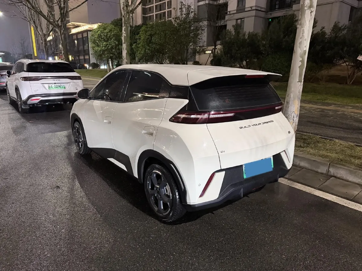 2024 BYD Seagull BEV 38.88KWH,autocango,china used car exporter,china ev exporter,chinese used car exporter,chinese used ev exporter