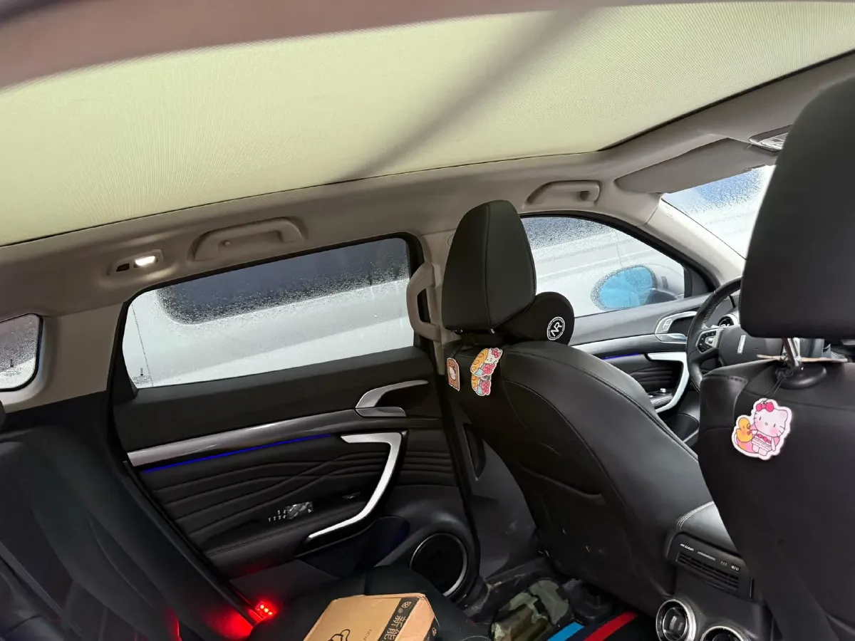 2018 WEY P8 2.0T 234HP L4 6DCT PHEV 12.96KWH,autocango,china used car exporter,china ev exporter,chinese used car exporter,chinese used ev exporter