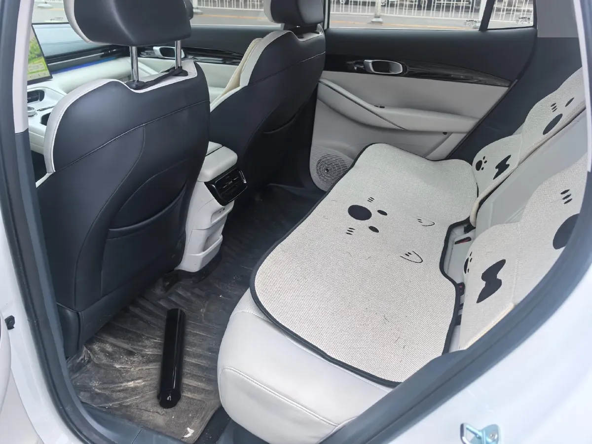 2024 Great Wall Poer 2.4T 186HP L4 9AT,autocango,china used car exporter,china ev exporter,chinese used car exporter,chinese used ev exporter