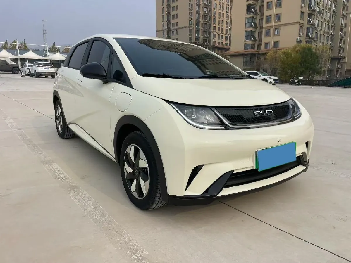 2025 BYD Dolphin BEV 44.928KWH,autocango,china used car exporter,china ev exporter,chinese used car exporter,chinese used ev exporter