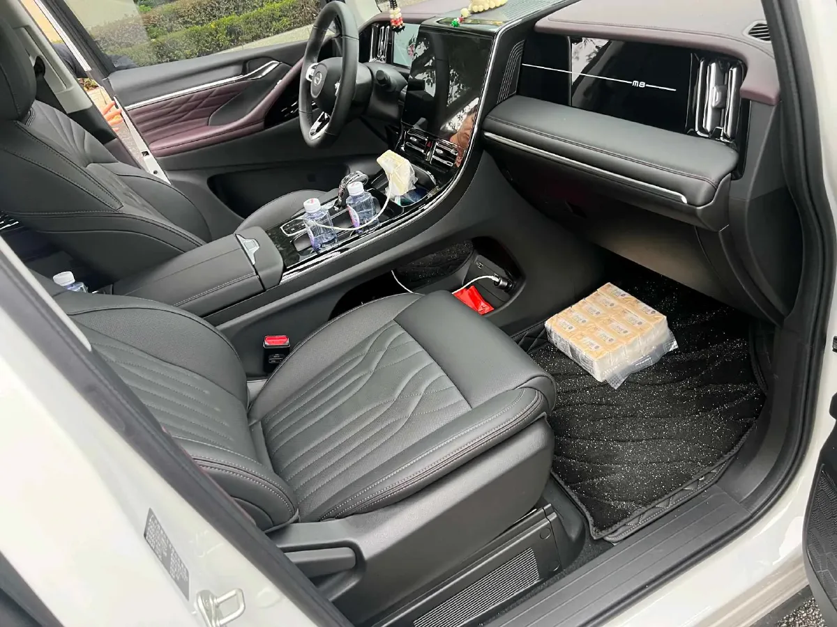 2024 GAC Trumpchi M8 2.0T 252HP L4 8AT,autocango,china used car exporter,china ev exporter,chinese used car exporter,chinese used ev exporter