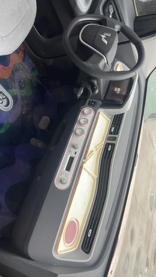 2022 DongFeng Fengon Fengon MINI EV BEV 9.18KWH,autocango,china used car exporter,china ev exporter,chinese used car exporter,chinese used ev exporter