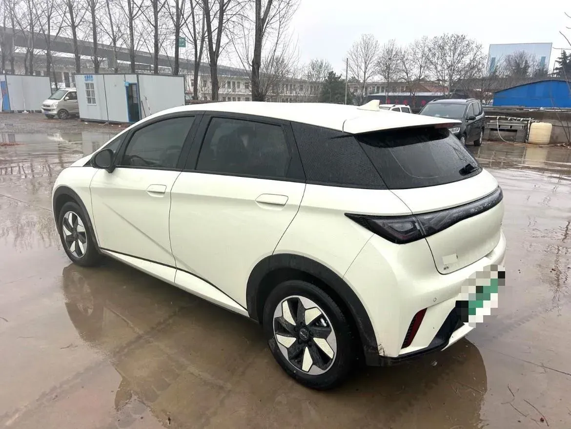 2025 BYD Dolphin BEV 44.928KWH,autocango,china used car exporter,china ev exporter,chinese used car exporter,chinese used ev exporter