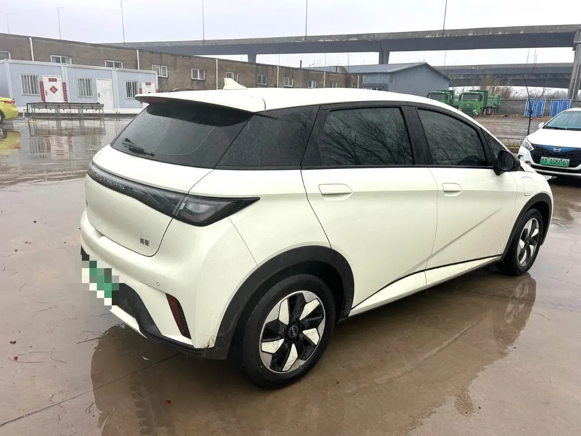 2025 BYD Dolphin BEV 44.928KWH,autocango,china used car exporter,china ev exporter,chinese used car exporter,chinese used ev exporter