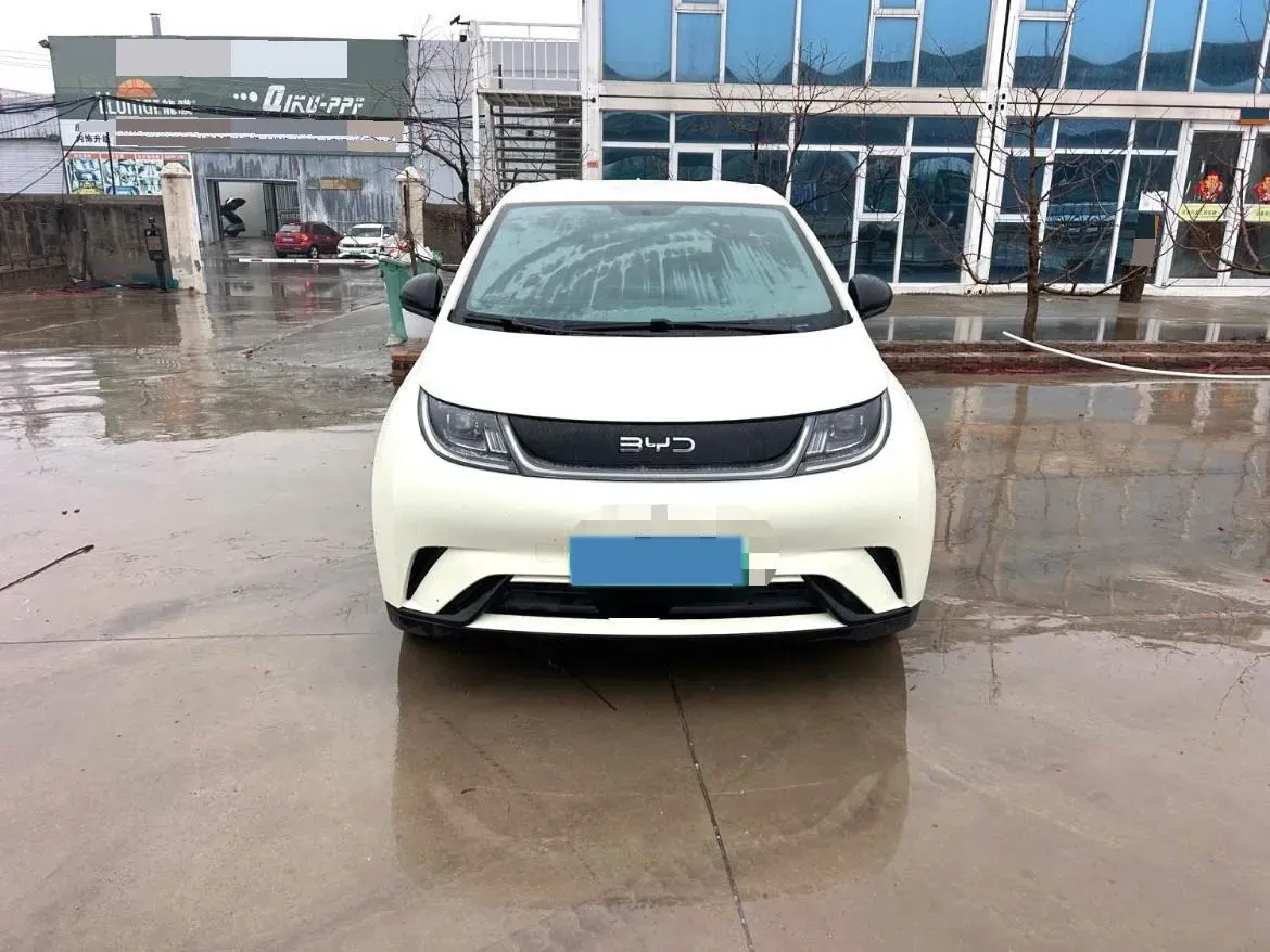 2025 BYD Dolphin BEV 44.928KWH,autocango,china used car exporter,china ev exporter,chinese used car exporter,chinese used ev exporter