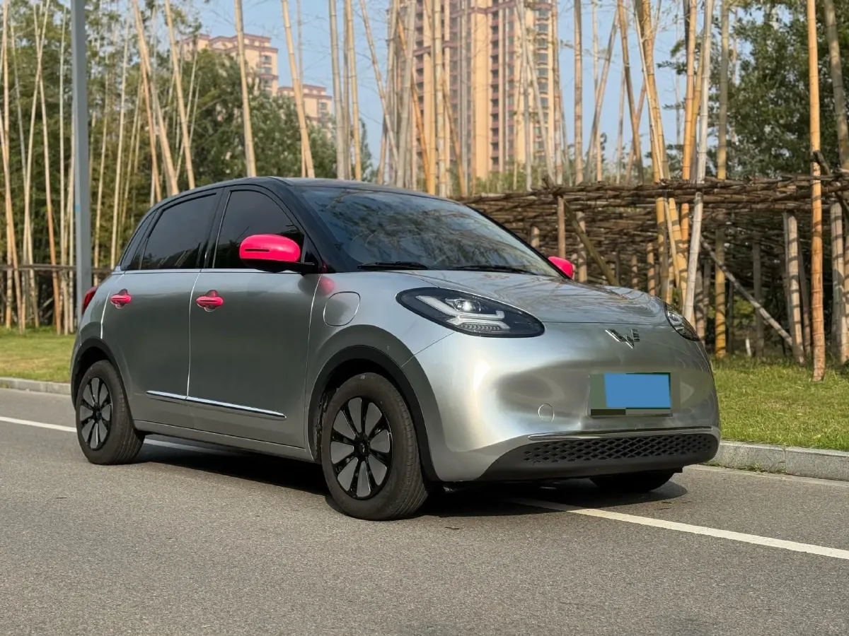 2024 WuLing BinGuo BEV 31.9KWH,autocango,china used car exporter,china ev exporter,chinese used car exporter,chinese used ev exporter