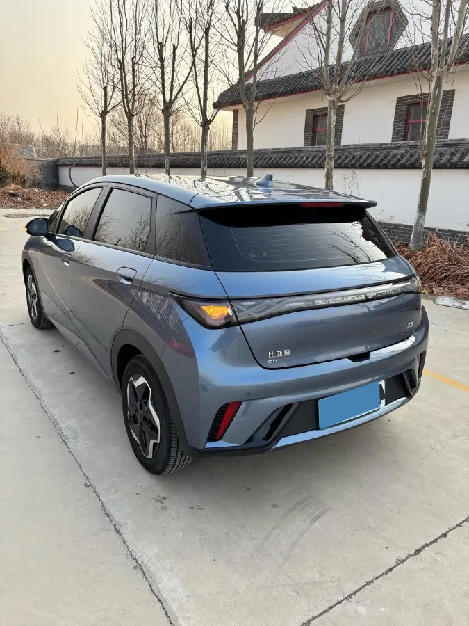 2025 BYD Dolphin BEV 44.928KWH,autocango,china used car exporter,china ev exporter,chinese used car exporter,chinese used ev exporter