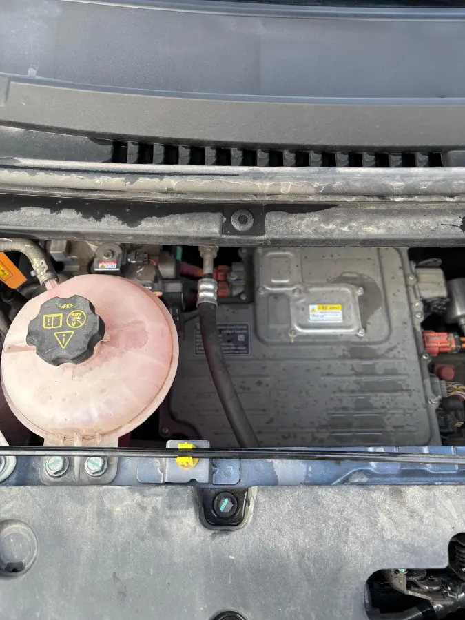 2025 BYD Dolphin BEV 44.928KWH,autocango,china used car exporter,china ev exporter,chinese used car exporter,chinese used ev exporter