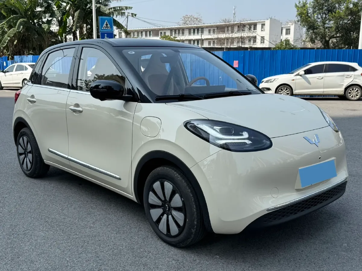 2025 WuLing BinGuo BEV,autocango,china used car exporter,china ev exporter,chinese used car exporter,chinese used ev exporter