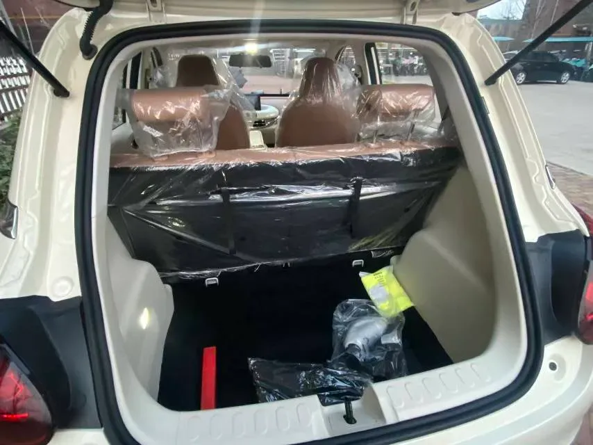 2024 WuLing BinGuo BEV 31.9KWH,autocango,china used car exporter,china ev exporter,chinese used car exporter,chinese used ev exporter