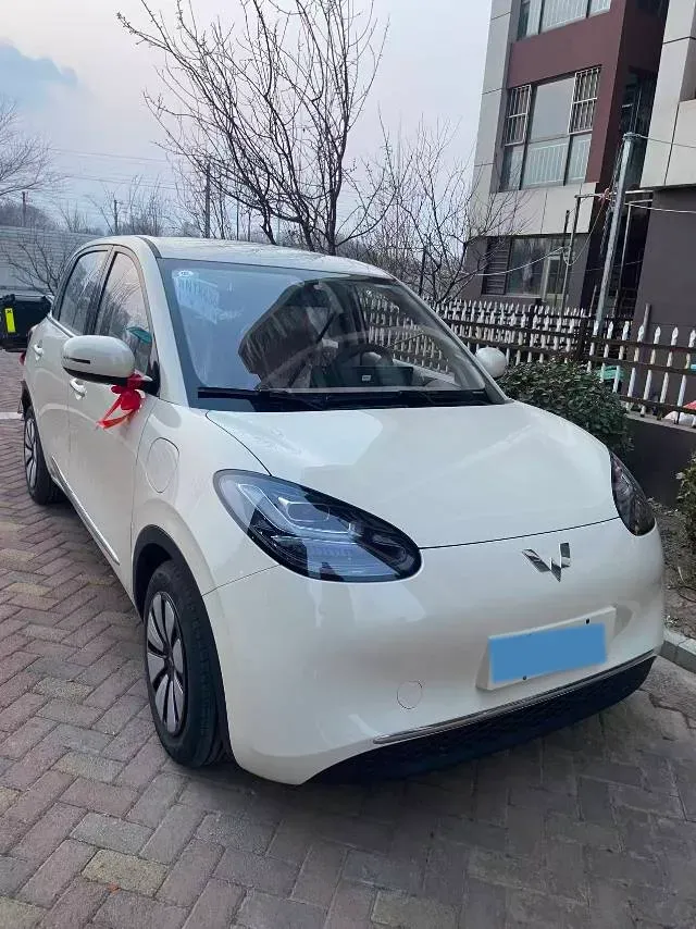 2024 WuLing BinGuo BEV 31.9KWH,autocango,china used car exporter,china ev exporter,chinese used car exporter,chinese used ev exporter