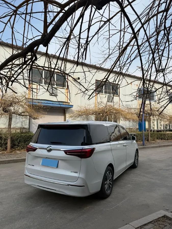 2020 Buick GL8 2.0T 237HP L4 9AT,autocango,china used car exporter,china ev exporter,chinese used car exporter,chinese used ev exporter