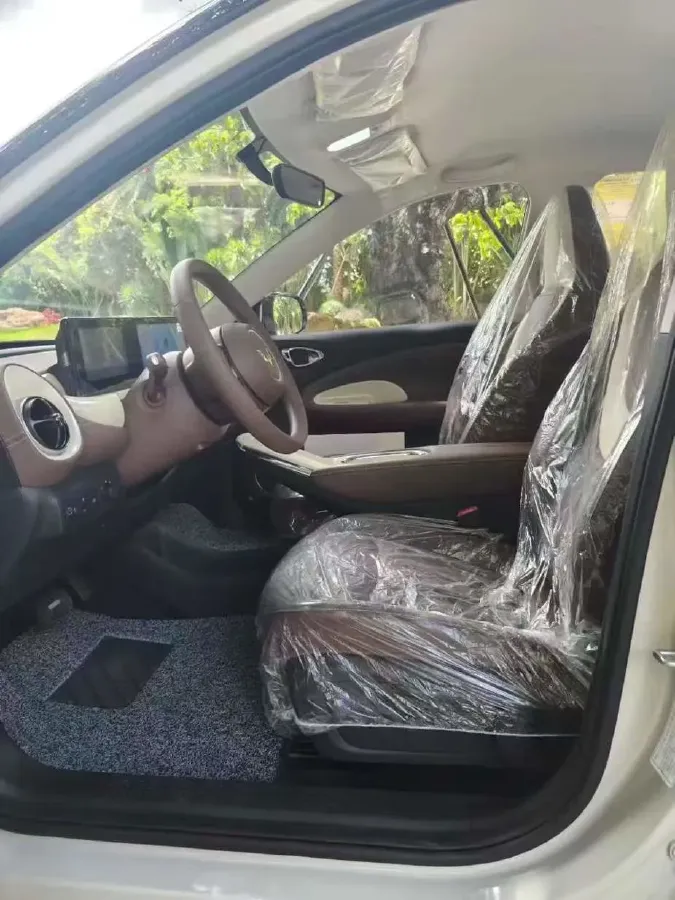 2025 WuLing BinGuo BEV,autocango,china used car exporter,china ev exporter,chinese used car exporter,chinese used ev exporter