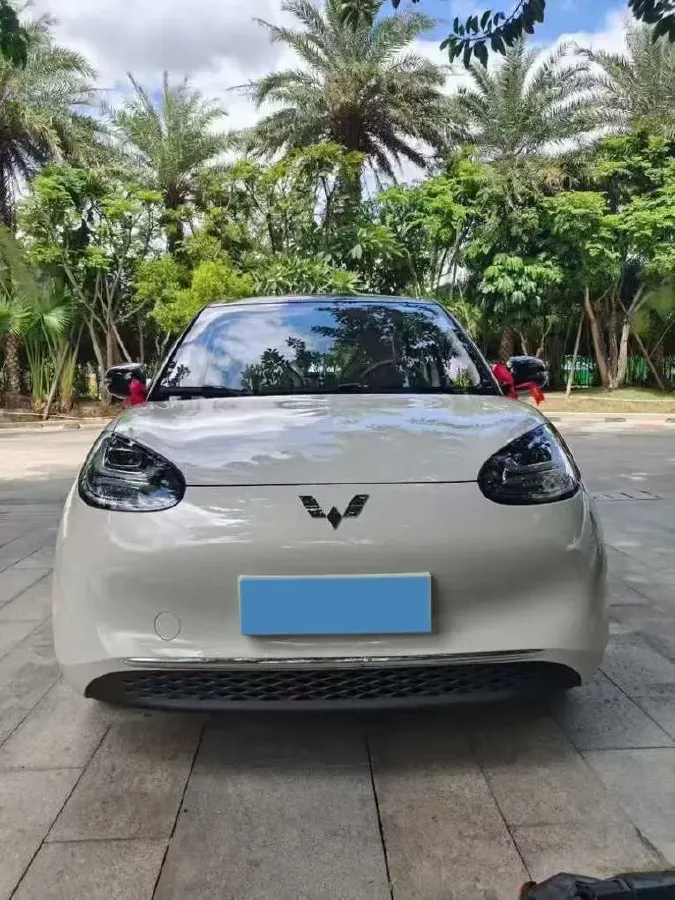 2025 WuLing BinGuo BEV,autocango,china used car exporter,china ev exporter,chinese used car exporter,chinese used ev exporter