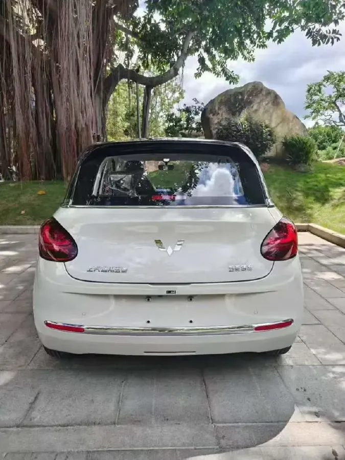 2025 WuLing BinGuo BEV,autocango,china used car exporter,china ev exporter,chinese used car exporter,chinese used ev exporter