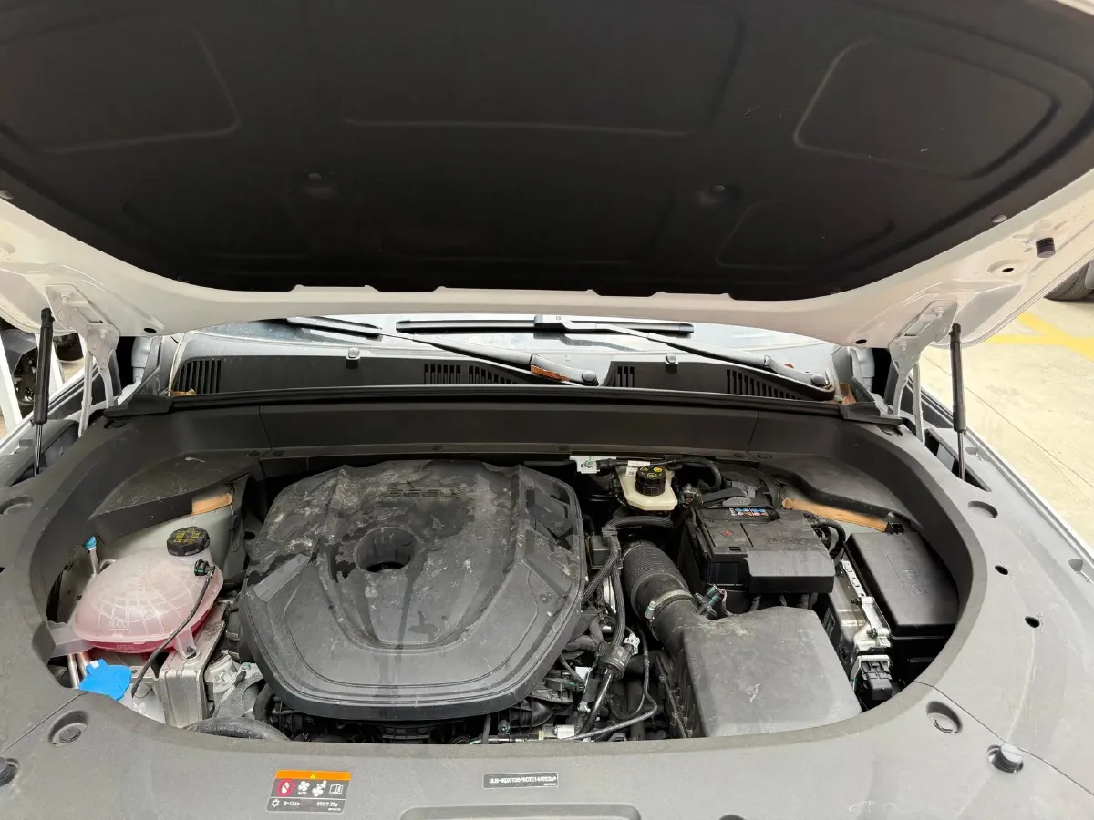 2024 Geely Monjaro 2.0T 218HP L4 7DCT,autocango,china used car exporter,china ev exporter,chinese used car exporter,chinese used ev exporter