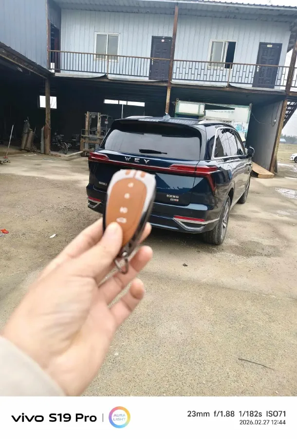 2025 WEY BlueMountain 1.5T 170HP L4 4DHT PHEV 44.5KWH,autocango,china used car exporter,china ev exporter,chinese used car exporter,chinese used ev exporter