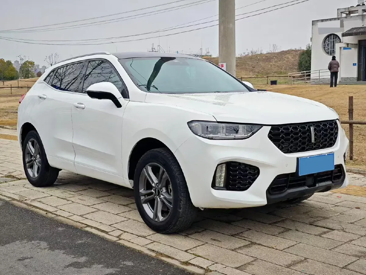 2019 WEY VV5 1.5T 169HP L4 7DCT,autocango,china used car exporter,china ev exporter,chinese used car exporter,chinese used ev exporter