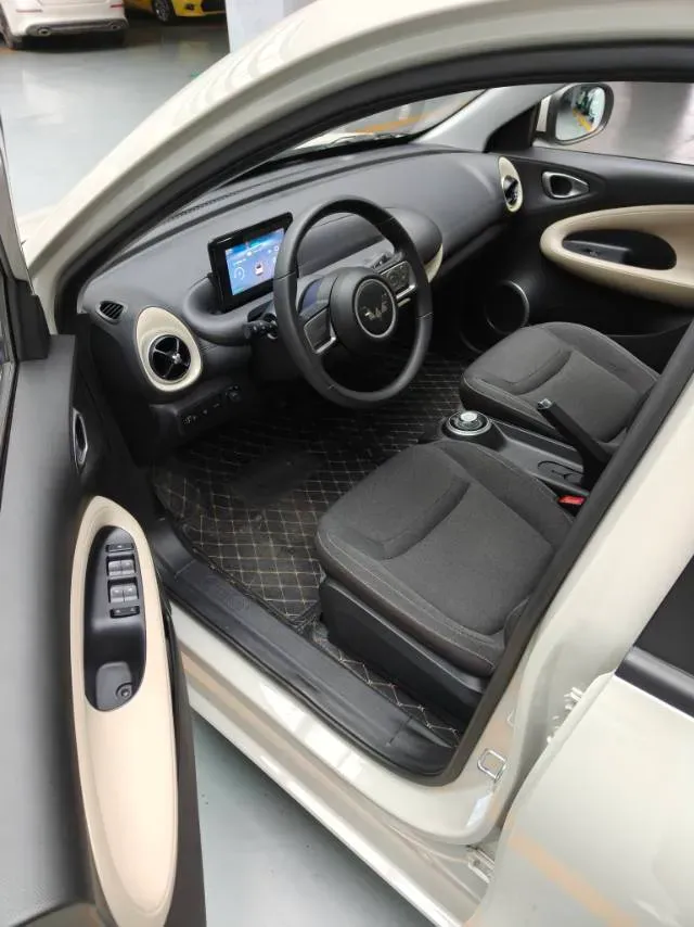 2024 WuLing BinGuo BEV 17.3KWH,autocango,china used car exporter,china ev exporter,chinese used car exporter,chinese used ev exporter