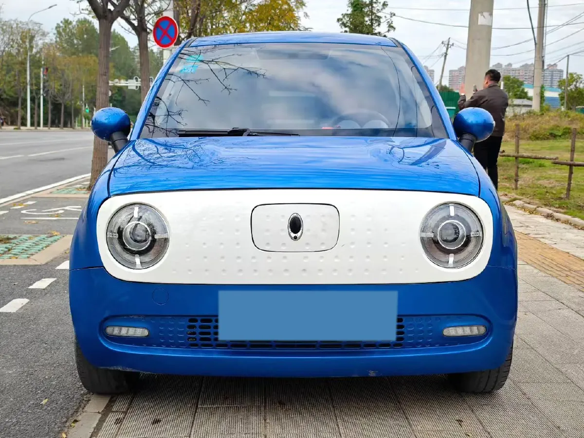 2021 Ora BlackCat BEV 33KWH,autocango,china used car exporter,china ev exporter,chinese used car exporter,chinese used ev exporter