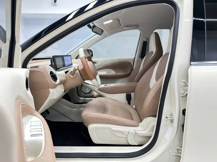 2024 WuLing BinGuo BEV 31.9KWH,autocango,china used car exporter,china ev exporter,chinese used car exporter,chinese used ev exporter