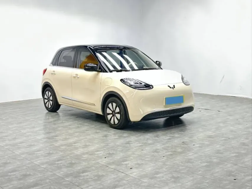 2024 WuLing BinGuo BEV 31.9KWH,autocango,china used car exporter,china ev exporter,chinese used car exporter,chinese used ev exporter