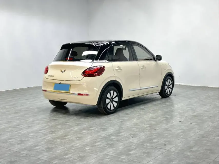 2024 WuLing BinGuo BEV 31.9KWH,autocango,china used car exporter,china ev exporter,chinese used car exporter,chinese used ev exporter