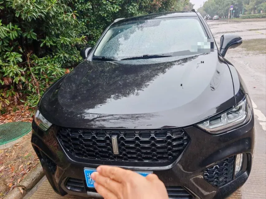 2019 WEY VV5 2.0T 224HP L4 7DCT,autocango,china used car exporter,china ev exporter,chinese used car exporter,chinese used ev exporter