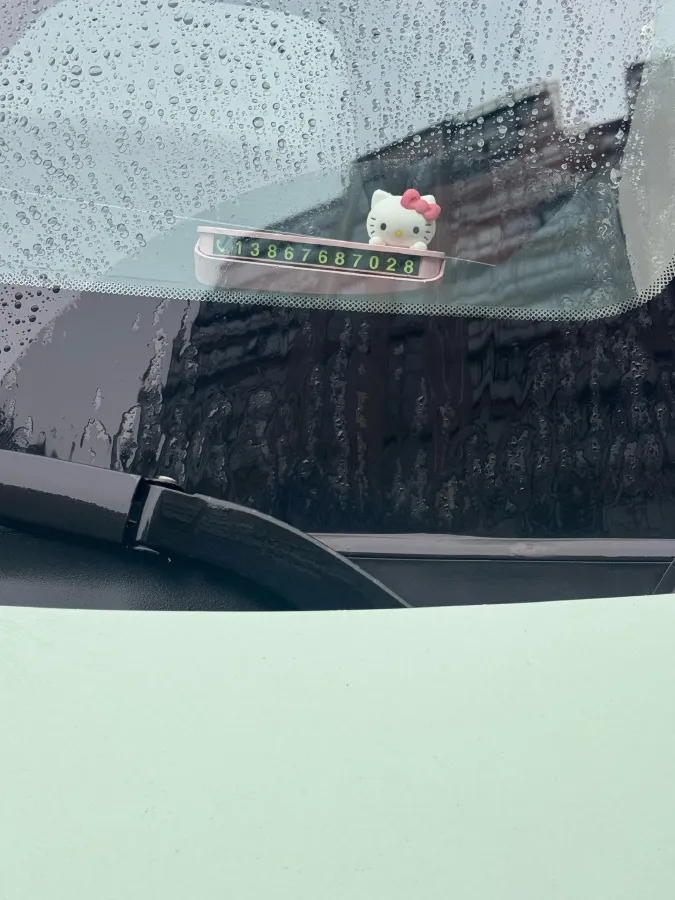 2020 WuLing HongGuang MINI EV BEV 9KWH,autocango,china used car exporter,china ev exporter,chinese used car exporter,chinese used ev exporter