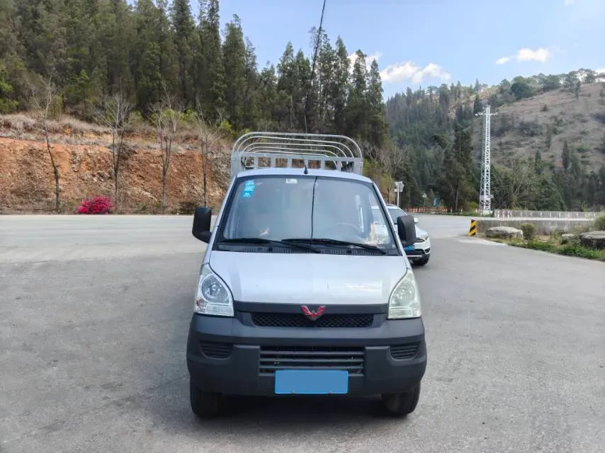 2019 WuLing RongGuang Mini Truck 1.5L 107HP L4 5MT,autocango,china used car exporter,china ev exporter,chinese used car exporter,chinese used ev exporter