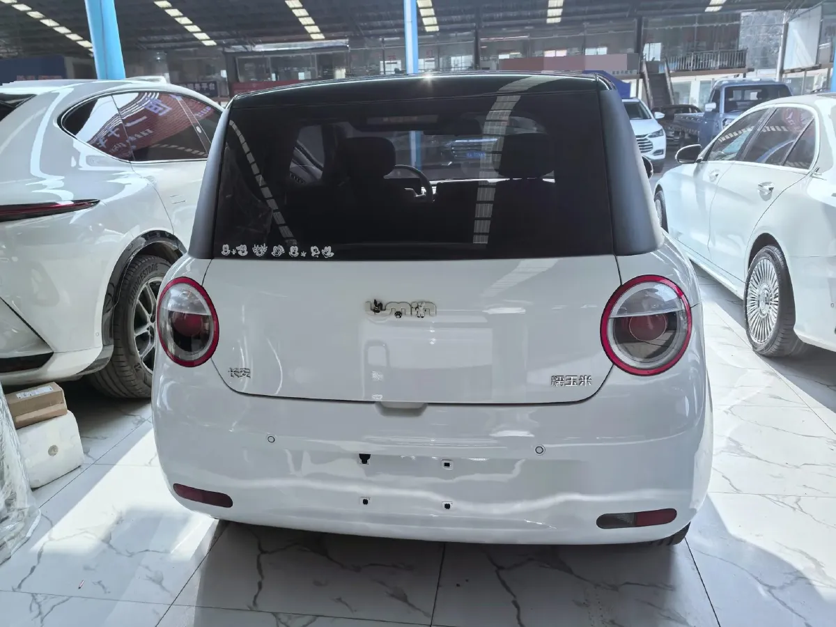 2024 ChangAn QiYuan Lumin BEV 28.08KWH,autocango,china used car exporter,china ev exporter,chinese used car exporter,chinese used ev exporter