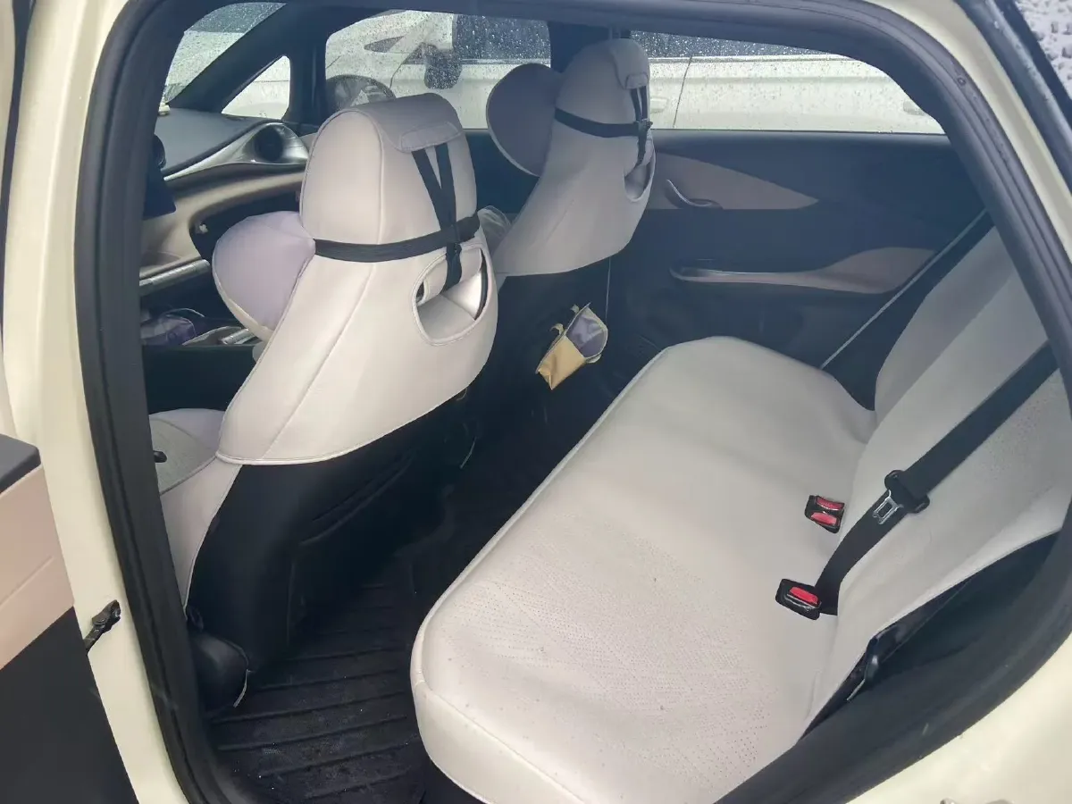 2024 BYD Dolphin BEV 44.928KWH,autocango,china used car exporter,china ev exporter,chinese used car exporter,chinese used ev exporter